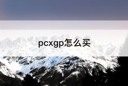 pcxgp怎么买