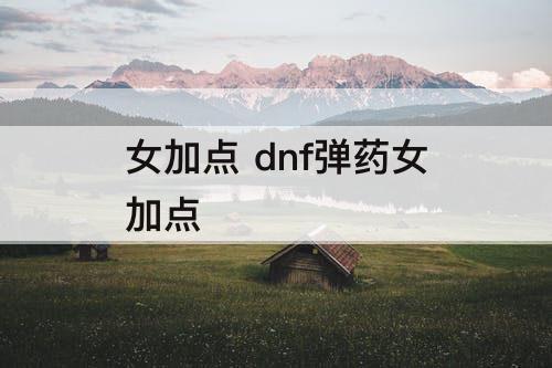 女加点 dnf弹药女加点
