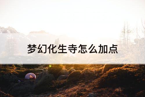 梦幻化生寺怎么加点
