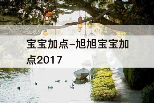 宝宝加点-旭旭宝宝加点2017