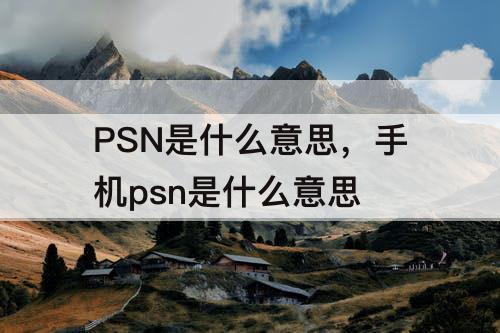 PSN是什么意思，手机psn是什么意思