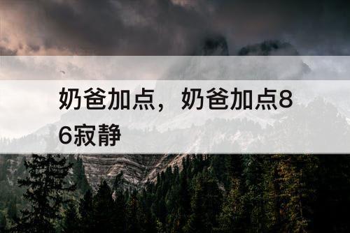 奶爸加点，奶爸加点86寂静