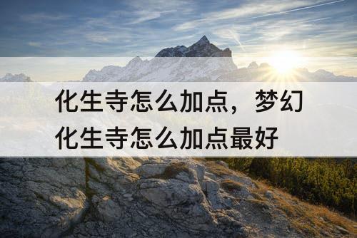 化生寺怎么加点，梦幻化生寺怎么加点最好