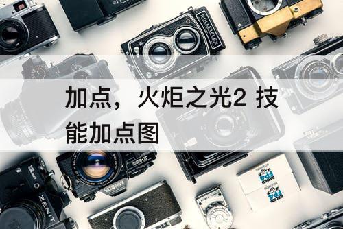 加点，火炬之光2 技能加点图