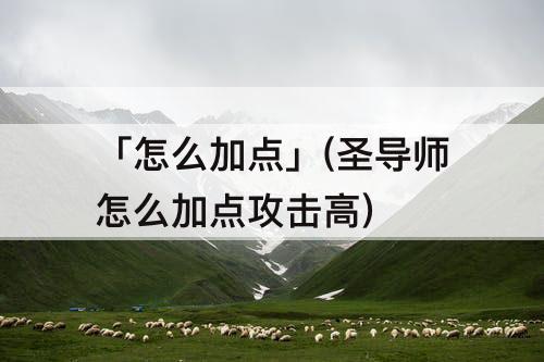 「怎么加点」(圣导师怎么加点攻击高)