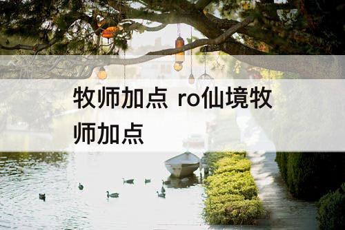 牧师加点 ro仙境牧师加点