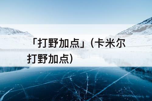 「打野加点」(卡米尔打野加点)