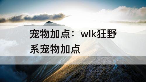 宠物加点：wlk狂野系宠物加点