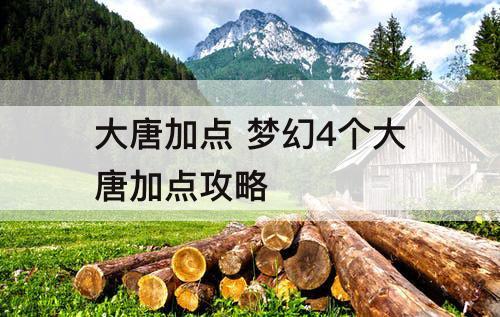 大唐加点 梦幻4个大唐加点攻略