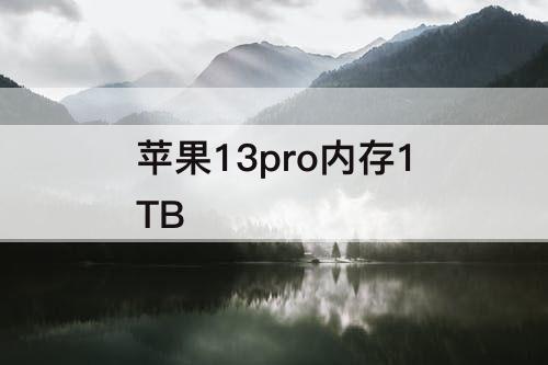 苹果13pro内存1TB
