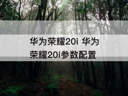 华为荣耀20i 华为荣耀20i参数配置