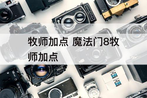 牧师加点 魔法门8牧师加点