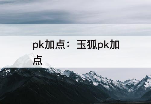 pk加点：玉狐pk加点