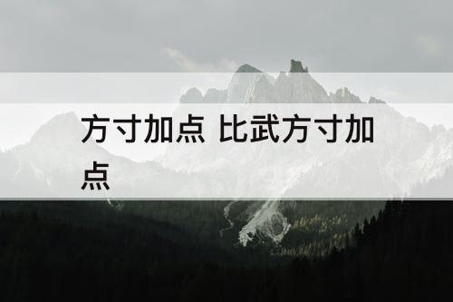 方寸加点 比武方寸加点