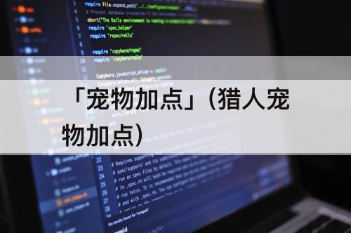 「宠物加点」(猎人宠物加点)