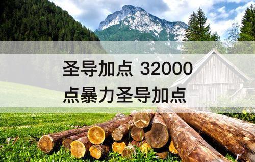 圣导加点 32000点暴力圣导加点