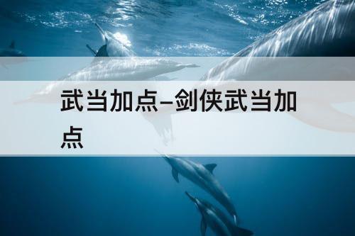 武当加点-剑侠武当加点