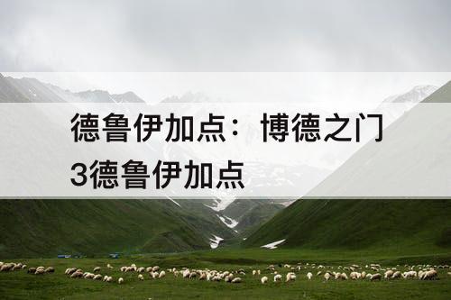 德鲁伊加点：博德之门3德鲁伊加点