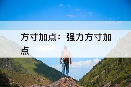 方寸加点：强力方寸加点