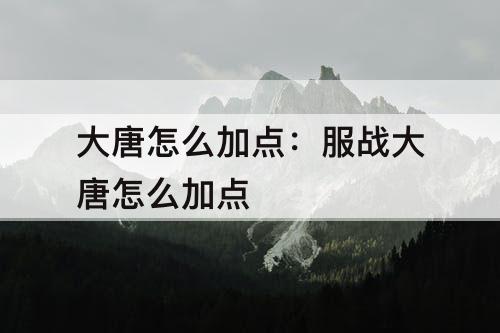 大唐怎么加点：服战大唐怎么加点