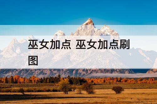 巫女加点 巫女加点刷图