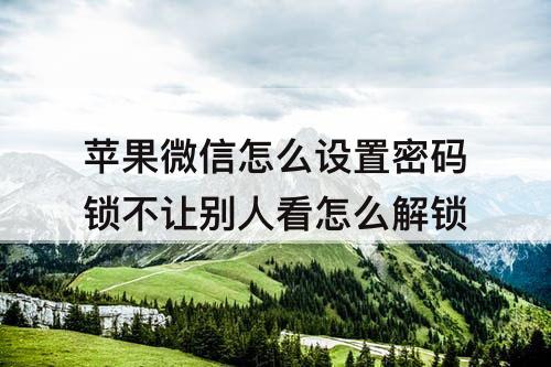 苹果微信怎么设置密码锁不让别人看怎么解锁