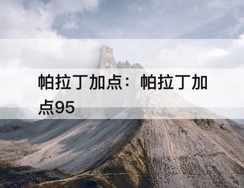 帕拉丁加点：帕拉丁加点95