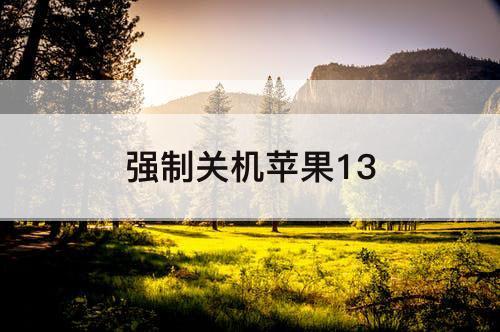 强制关机苹果13