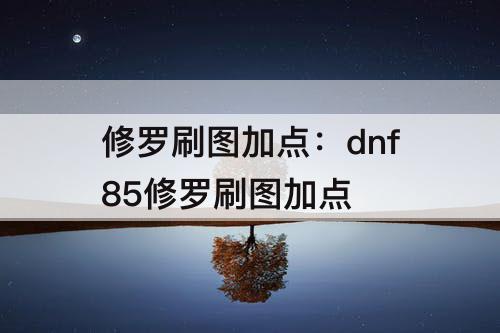 修罗刷图加点：dnf85修罗刷图加点