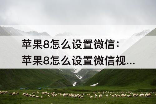 苹果8怎么设置微信：苹果8怎么设置微信视频铃声