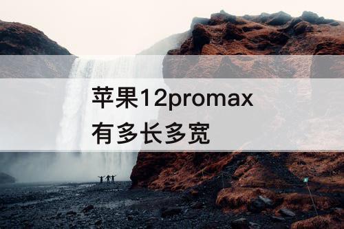 苹果12promax有多长多宽