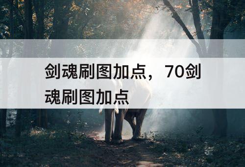 剑魂刷图加点，70剑魂刷图加点