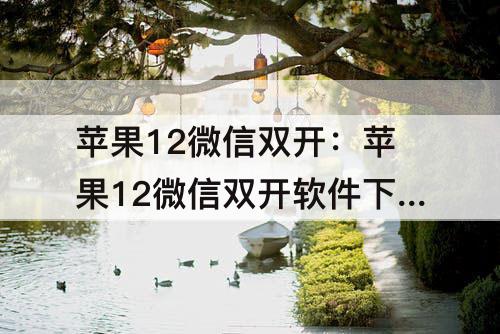 苹果12微信双开：苹果12微信双开软件下载