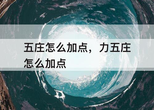 五庄怎么加点，力五庄怎么加点