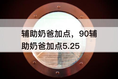 辅助奶爸加点，90辅助奶爸加点5.25