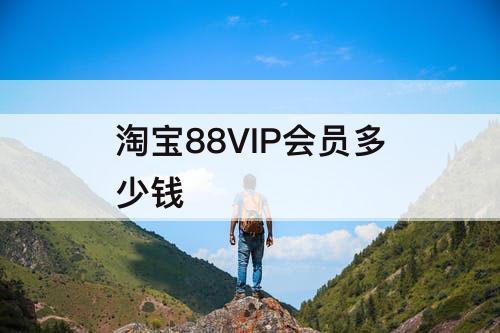 淘宝88VIP会员多少钱