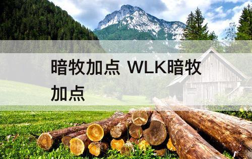暗牧加点 WLK暗牧加点