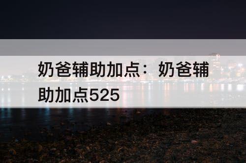 奶爸辅助加点：奶爸辅助加点525