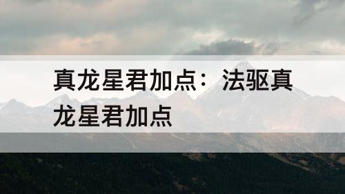 真龙星君加点：法驱真龙星君加点