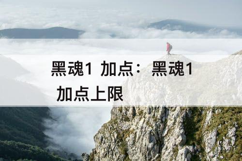黑魂1 加点：黑魂1 加点上限