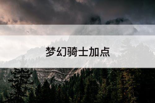 梦幻骑士加点
