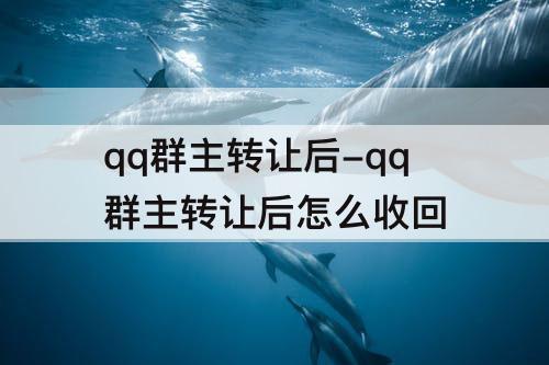 qq群主转让后-qq群主转让后怎么收回