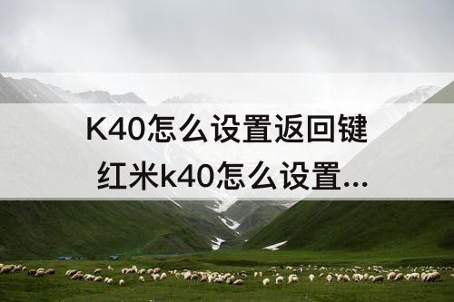 K40怎么设置返回键 红米k40怎么设置返回键和主页面键