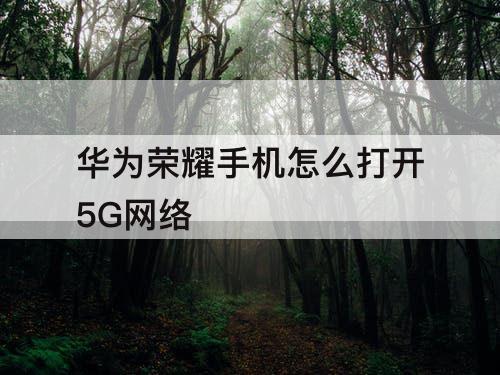 华为荣耀手机怎么打开5G网络
