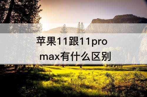 苹果11跟11pro max有什么区别
