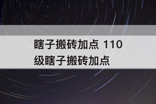 瞎子搬砖加点 110级瞎子搬砖加点