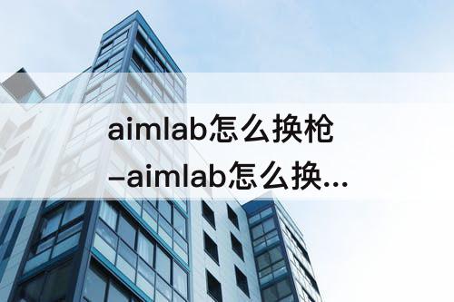 aimlab怎么换枪-aimlab怎么换枪皮肤