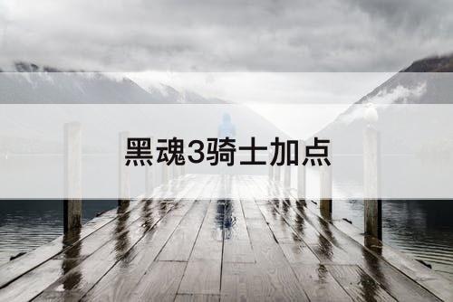 黑魂3骑士加点