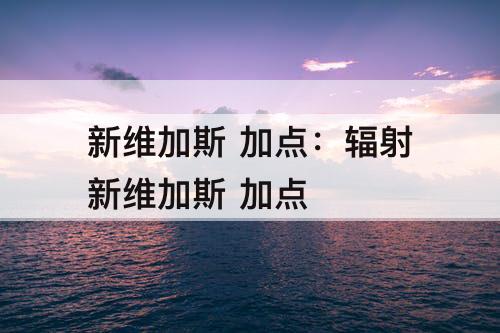 新维加斯 加点：辐射新维加斯 加点