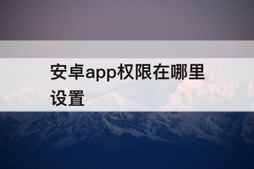 安卓app权限在哪里设置